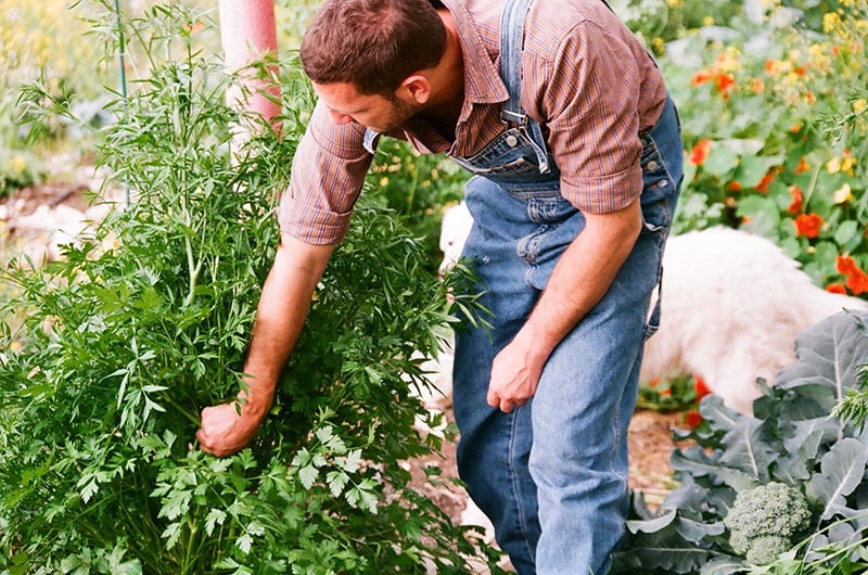 composting